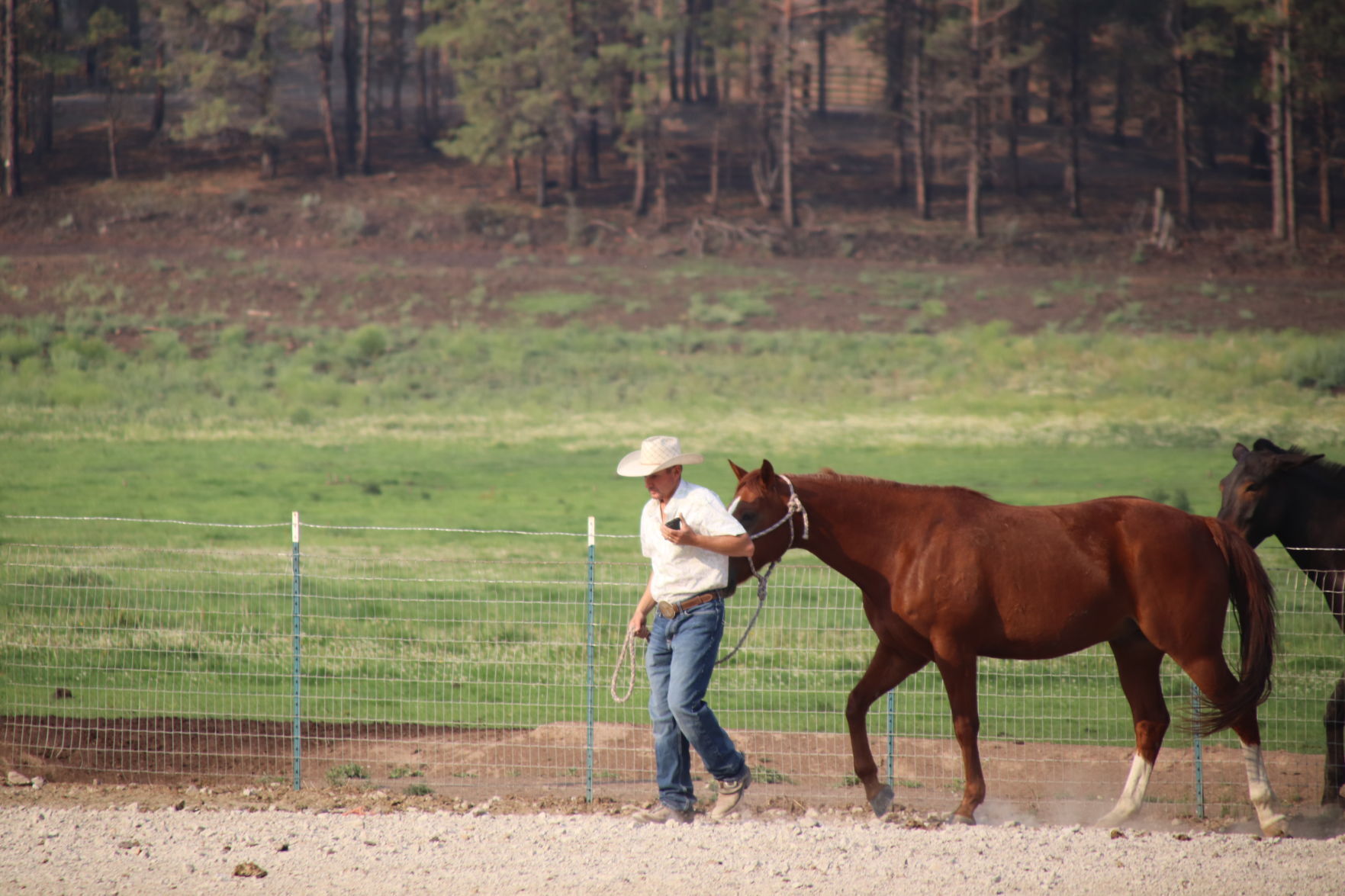 Five Mile Ranch morning